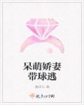 呆萌娇妻带球逃